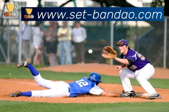 半岛体育app发展历程