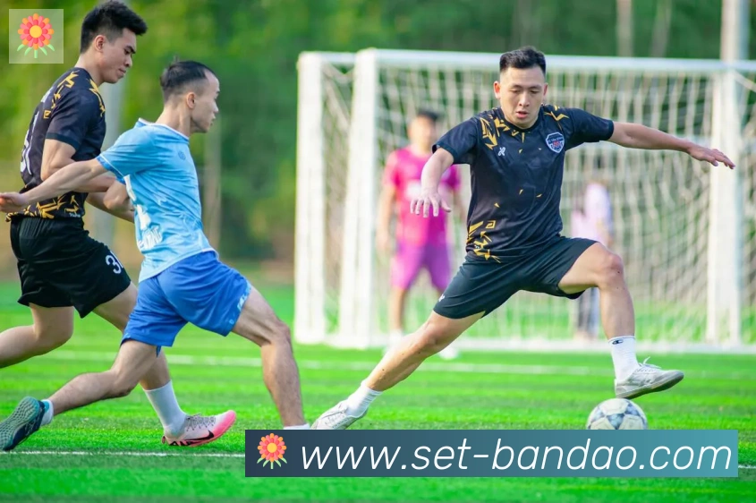 半岛体育appAPP 封面图