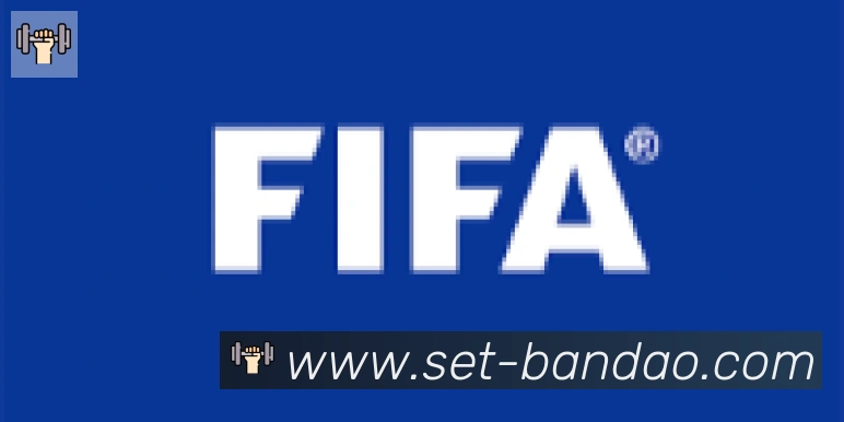 半岛体育app合作伙伴