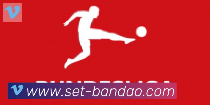 半岛体育app合作伙伴